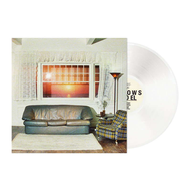 Model Vinyl | Wallows