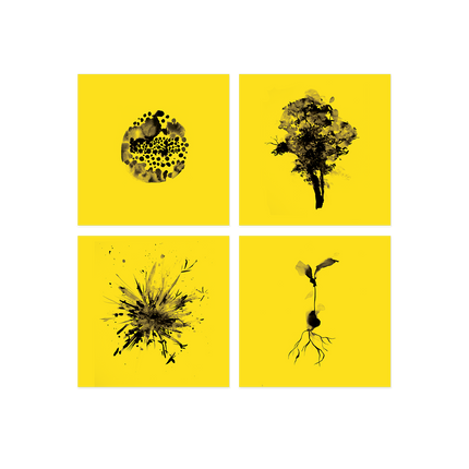 Ed Sheeran Subtract Print Set