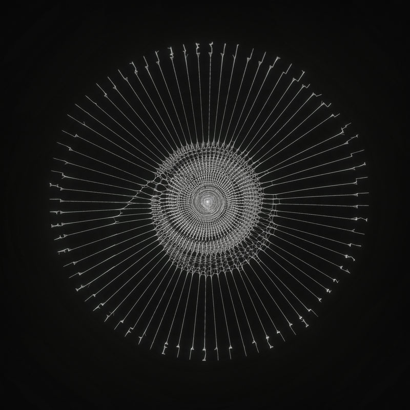 C()D3X (Vinyl)