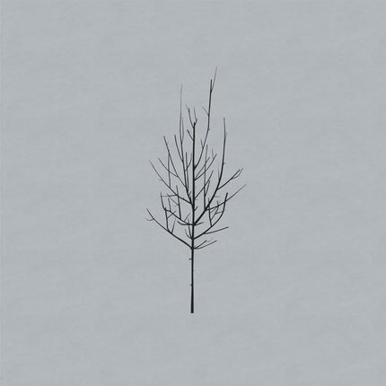 Ones and Sixes (Vinyl) | Low